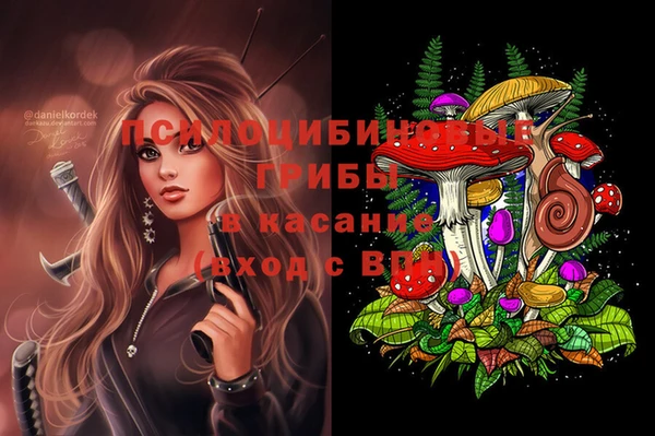 каннабис Аркадак