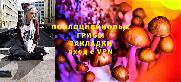 мдпв Армянск