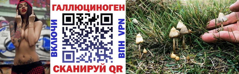 ссылка на мегу ссылки  Бобров  Галлюциногенные грибы мухоморы 